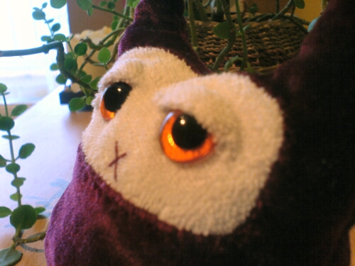 TRI - Eyebone