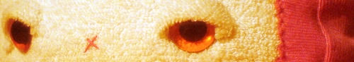 yap_eyebone02.jpg