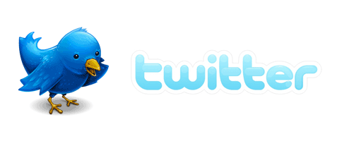 http://www.customtoylab.com/wp-content/uploads/twitter_logo.gif